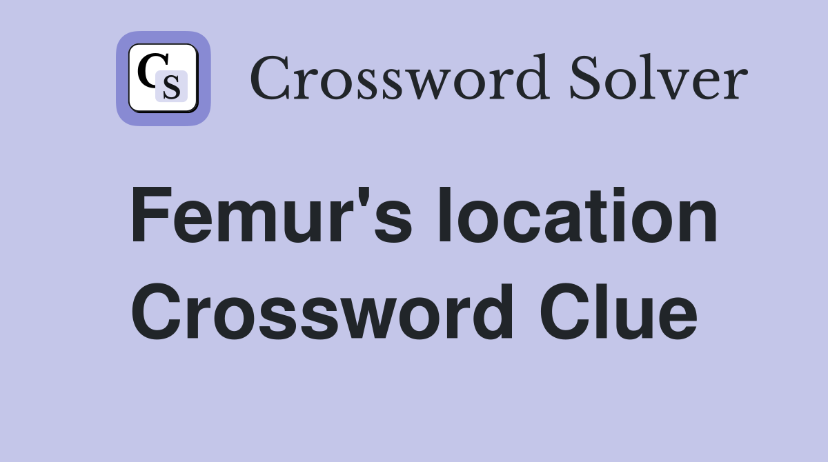 Femur's location Crossword Clue
