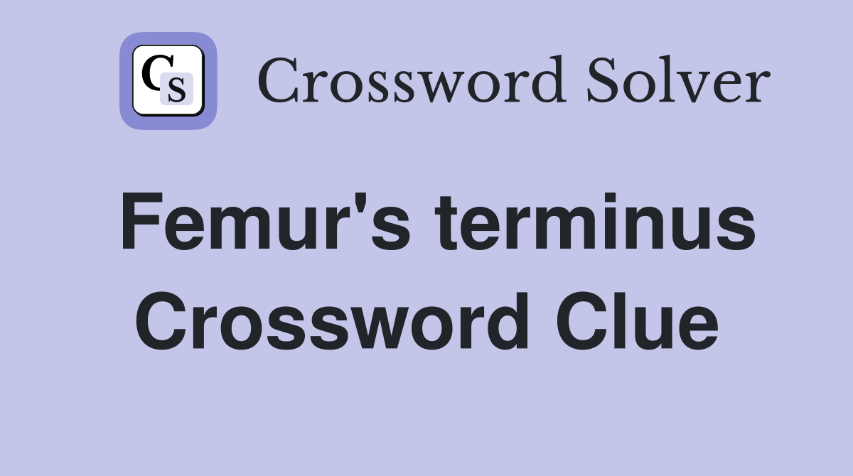 Femur's terminus Crossword Clue