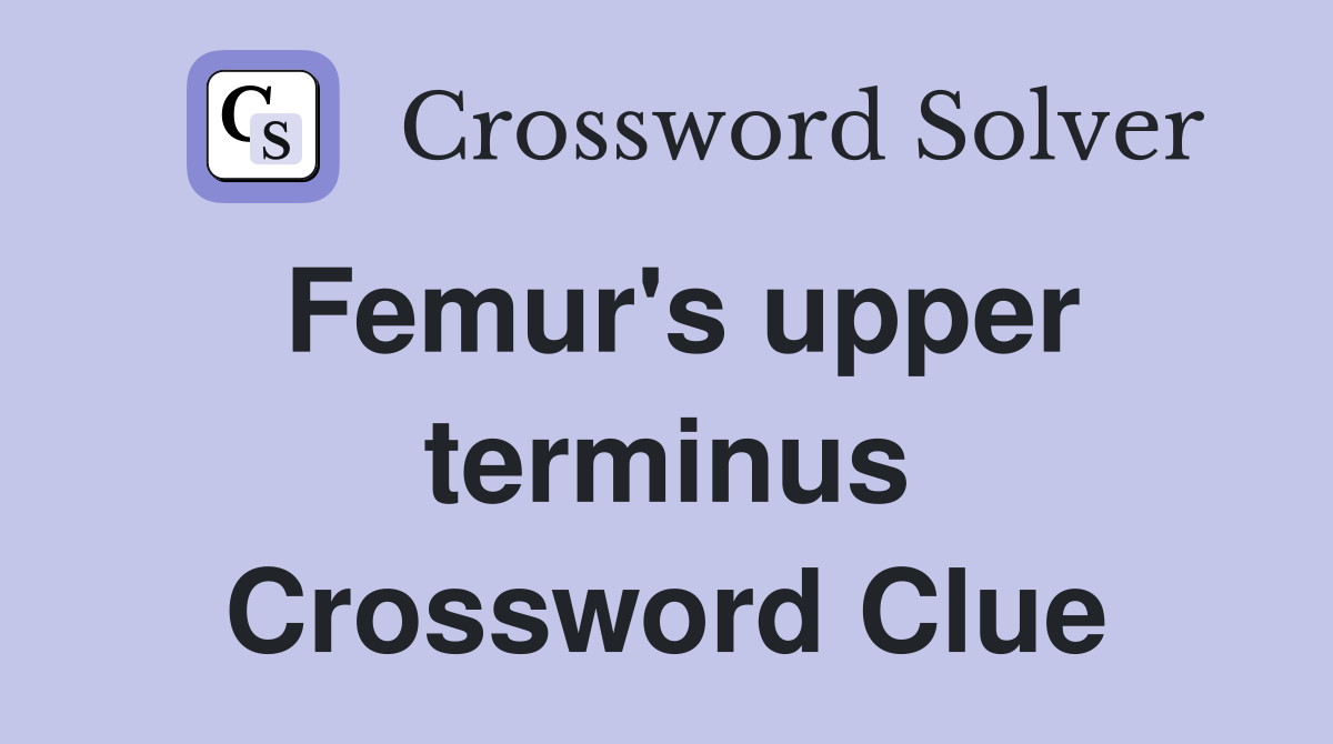 Femur's upper terminus Crossword Clue