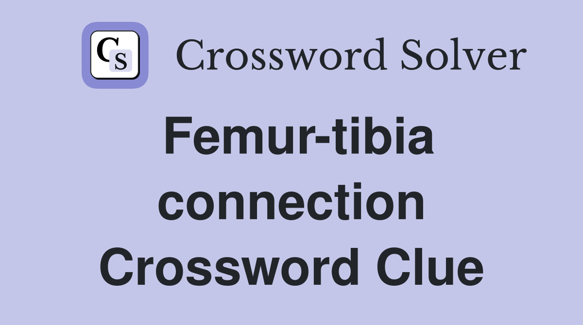 Femur-tibia connection Crossword Clue