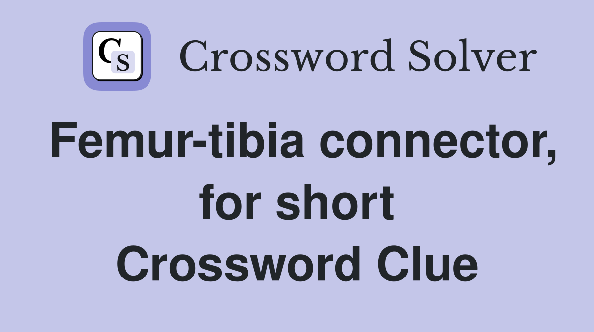 Femur-tibia connector, for short Crossword Clue