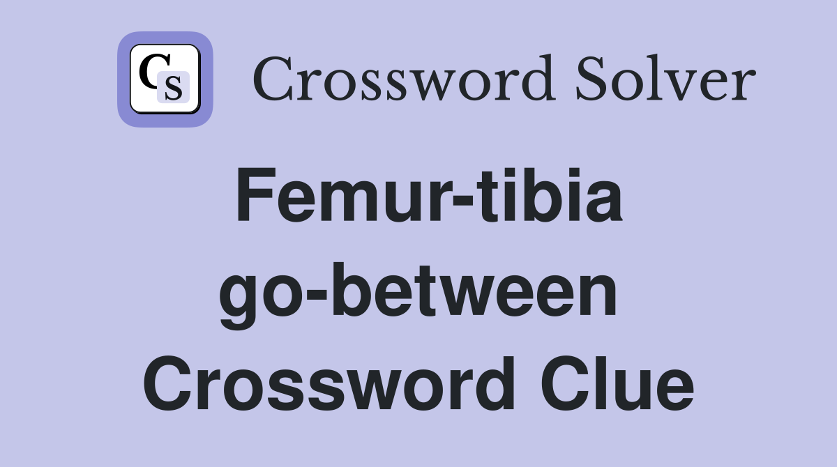 Femur-tibia go-between Crossword Clue