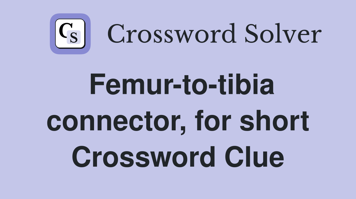 Femur-to-tibia connector, for short Crossword Clue