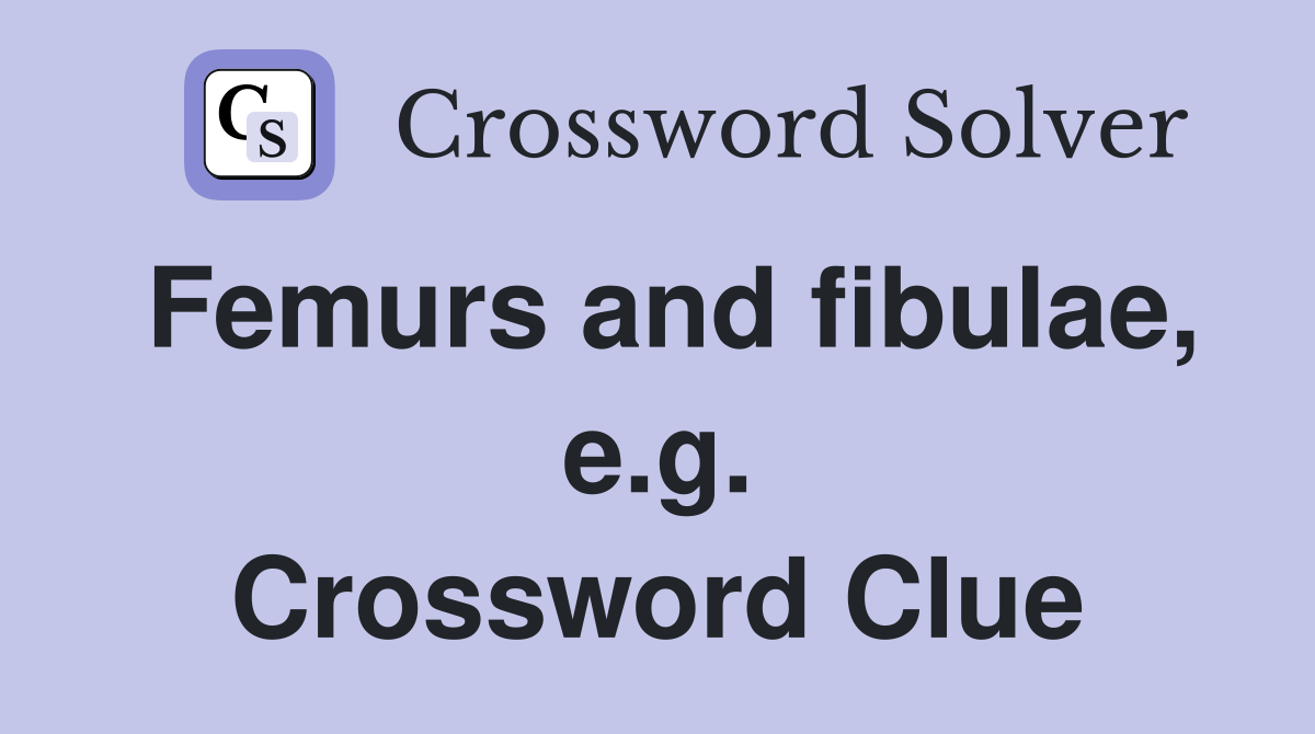 Femurs and fibulae, e.g. Crossword Clue