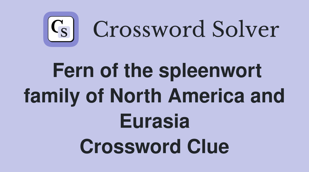 Fern of the spleenwort family of North America and Eurasia Crossword Clue