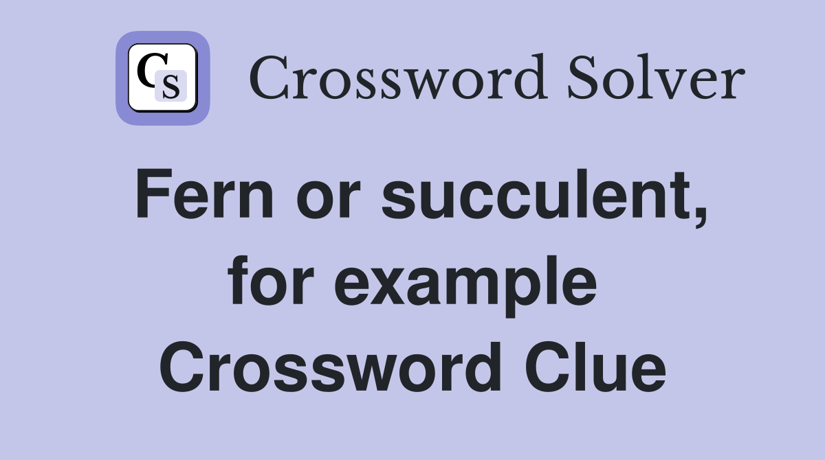 Fern or succulent, for example Crossword Clue
