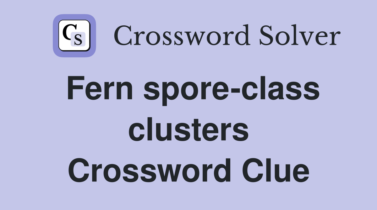 Fern spore-class clusters Crossword Clue