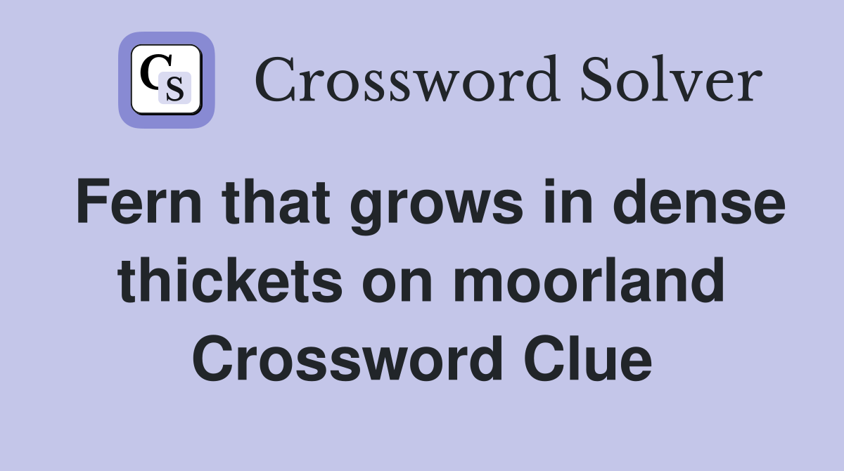 Fern that grows in dense thickets on moorland Crossword Clue