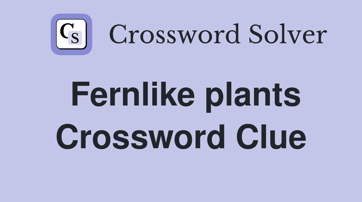 Fernlike plants Crossword Clue