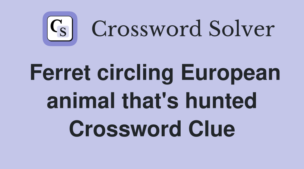 Ferret circling European animal that's hunted Crossword Clue