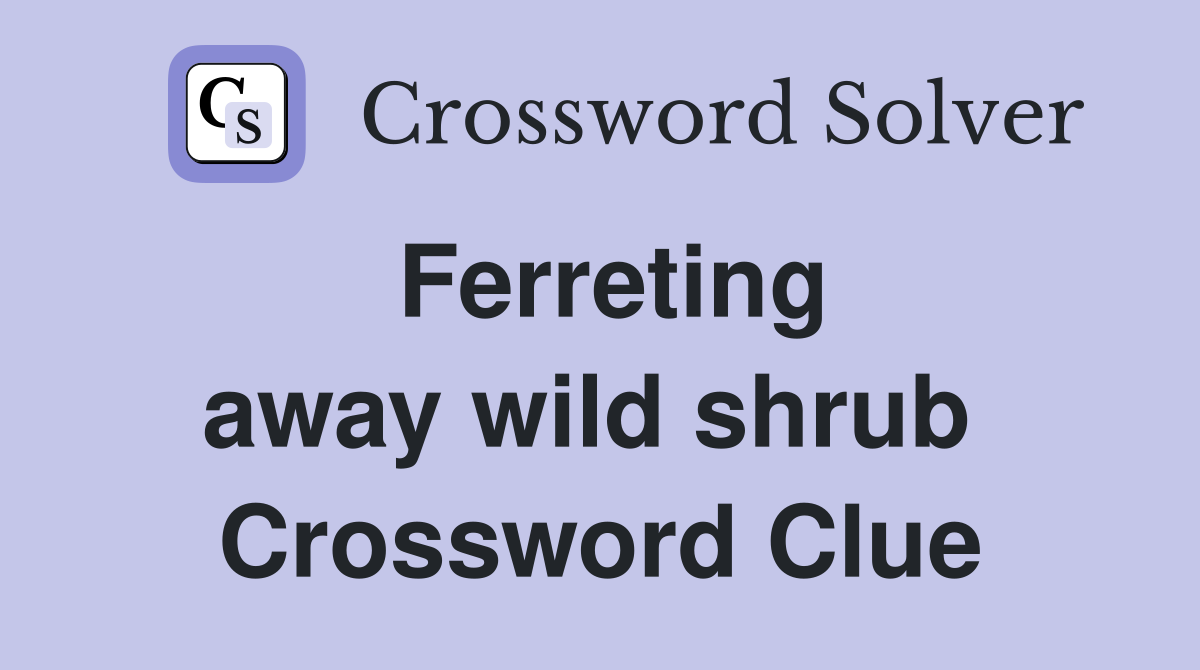Ferreting away wild shrub  Crossword Clue