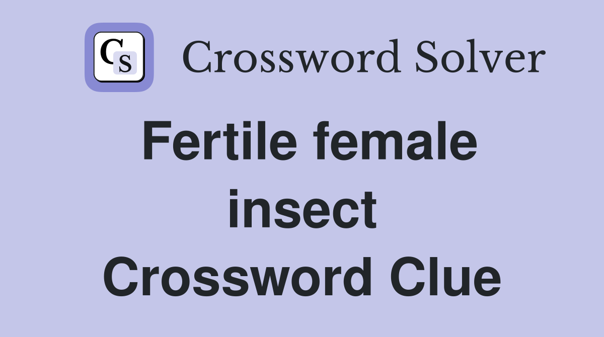 Fertile female insect Crossword Clue