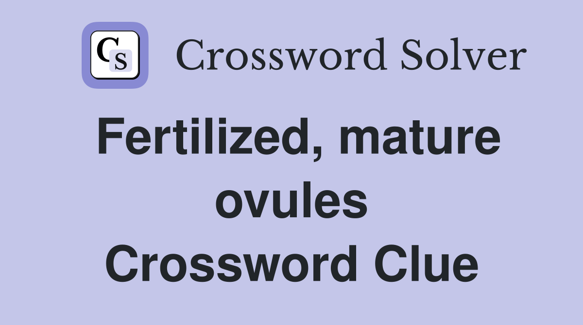 Fertilized, mature ovules Crossword Clue