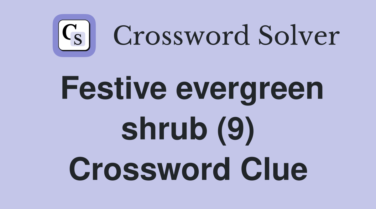 Festive evergreen shrub (9) Crossword Clue
