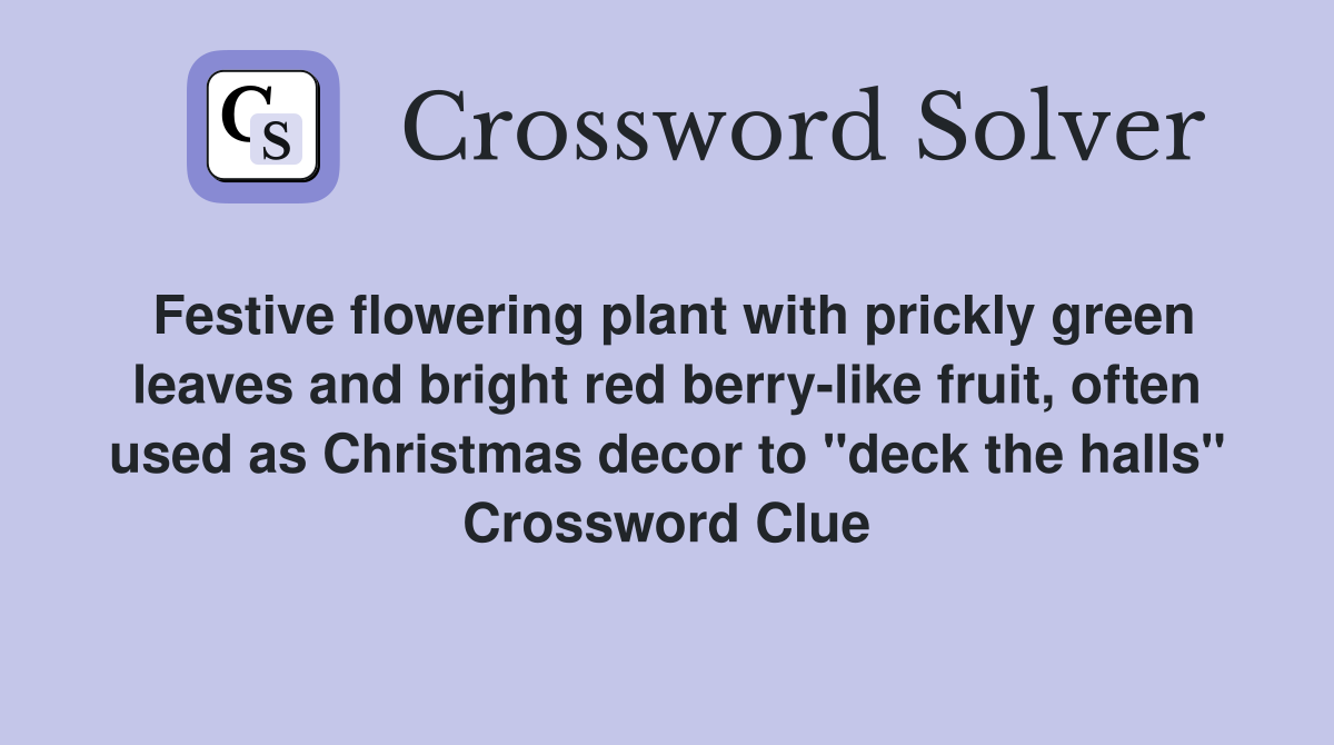 Festive flowering plant with prickly green leaves and bright red berry-like fruit, often used as Christmas decor to "deck the halls" Crossword Clue
