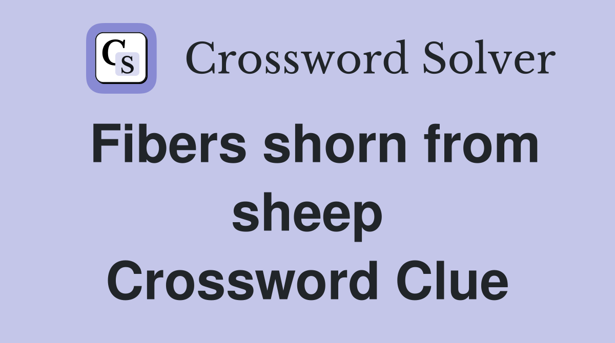 Fibers shorn from sheep Crossword Clue