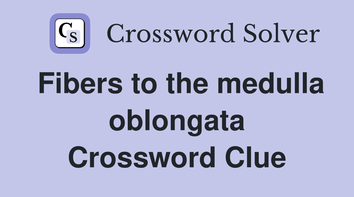 Fibers to the medulla oblongata Crossword Clue