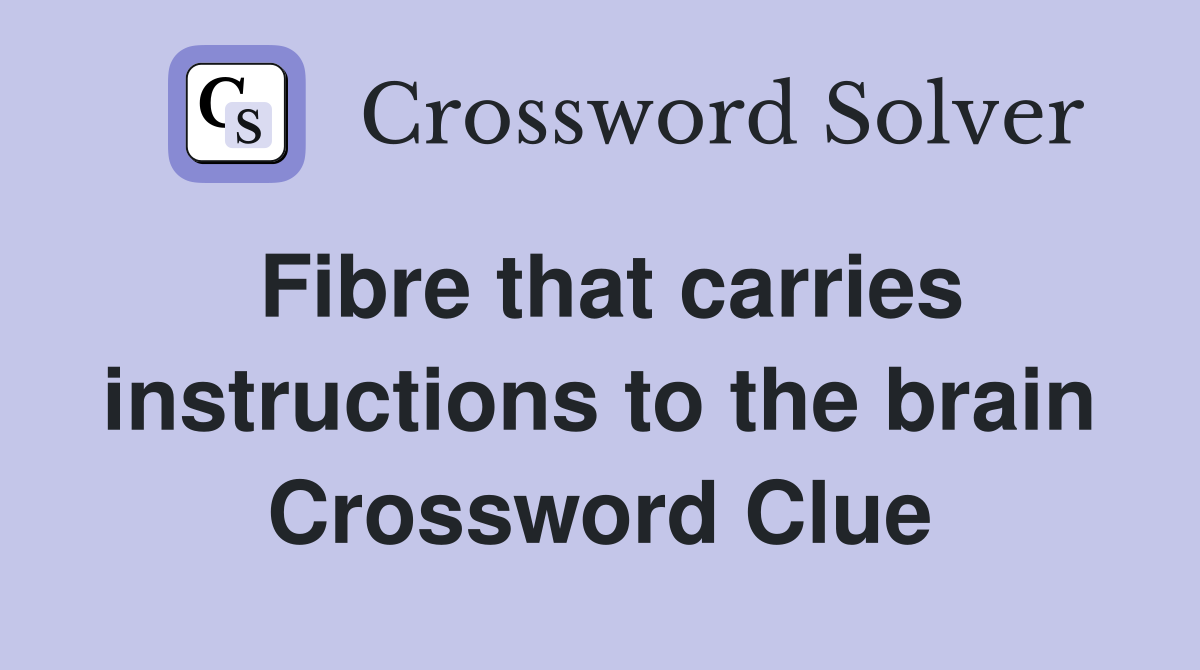 Fibre that carries instructions to the brain Crossword Clue