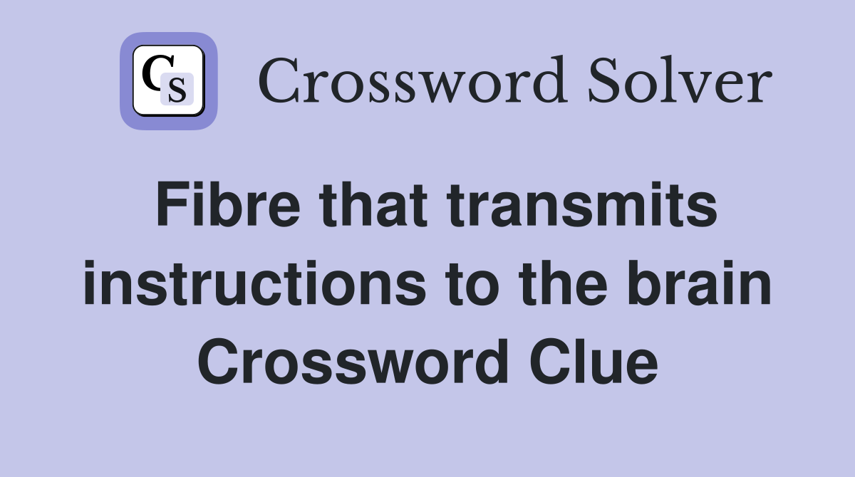 Fibre that transmits instructions to the brain Crossword Clue