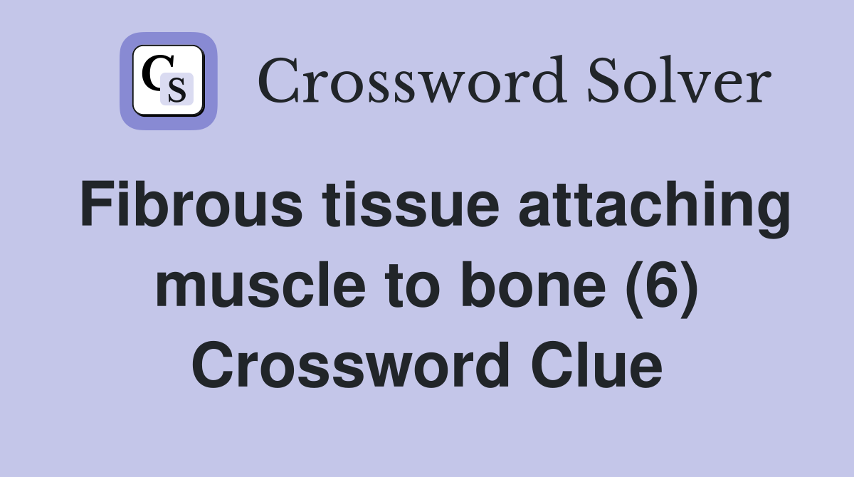 Fibrous tissue attaching muscle to bone (6) Crossword Clue