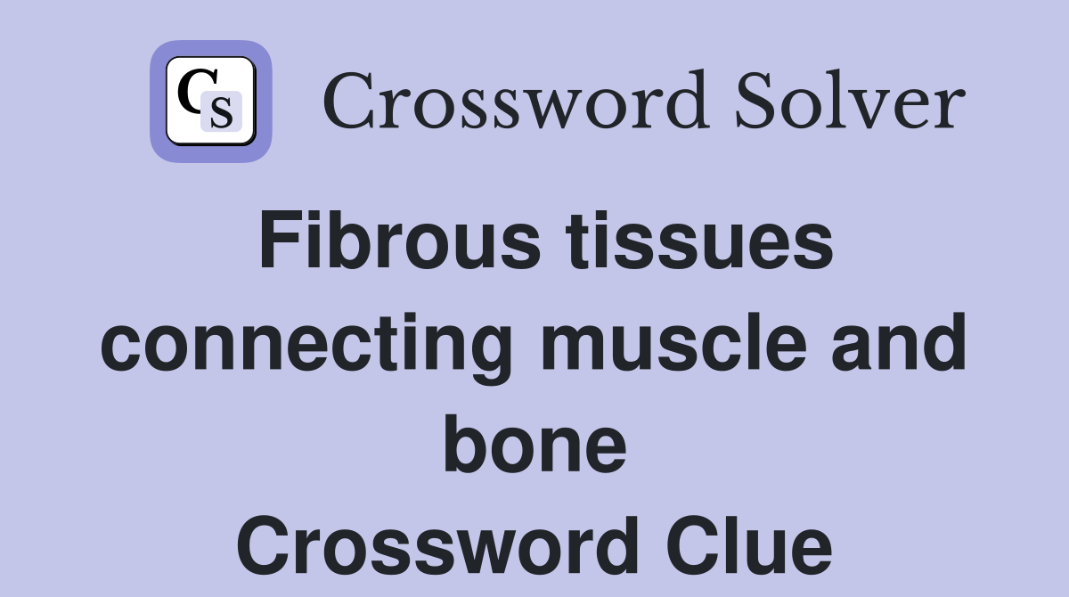 Fibrous tissues connecting muscle and bone Crossword Clue