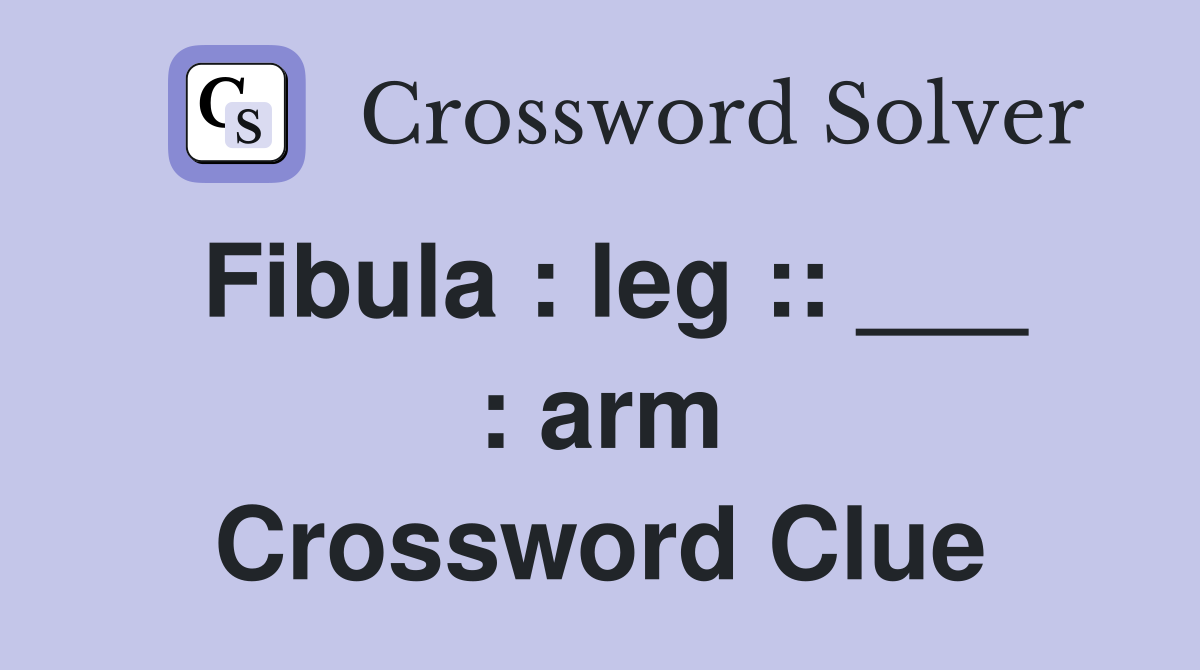Fibula : leg :: ___ : arm Crossword Clue
