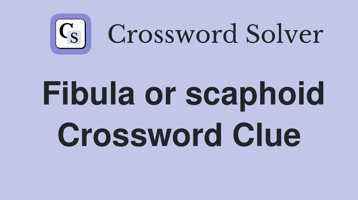 Fibula or scaphoid Crossword Clue