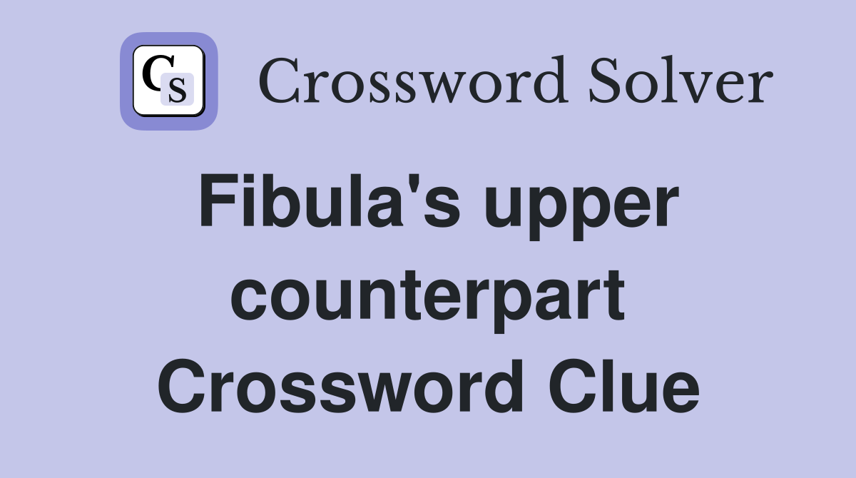 Fibula's upper counterpart Crossword Clue