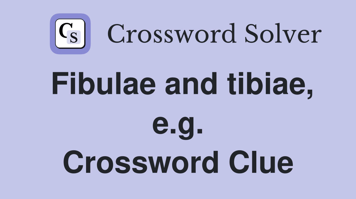 Fibulae and tibiae, e.g. Crossword Clue