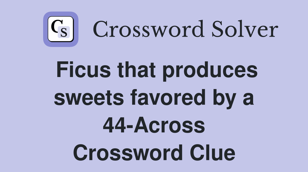 Ficus that produces sweets favored by a 44-Across Crossword Clue