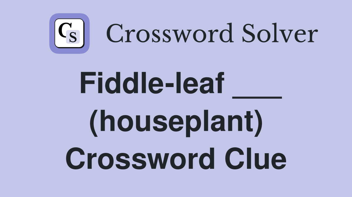 Fiddle-leaf ___ (houseplant) Crossword Clue