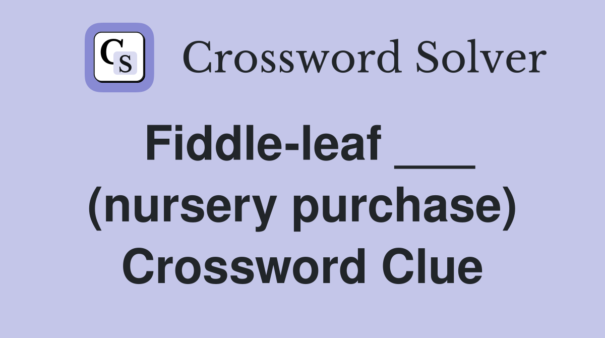 Fiddle-leaf ___ (nursery purchase) Crossword Clue
