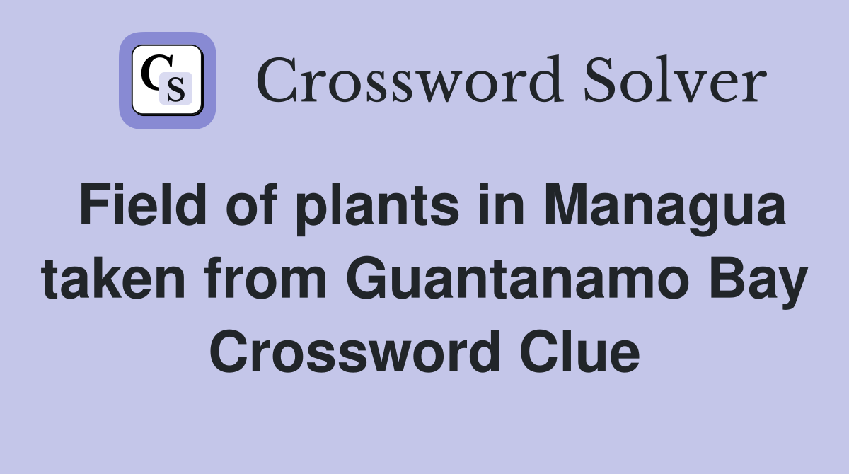 Field of plants in Managua taken from Guantanamo Bay Crossword Clue
