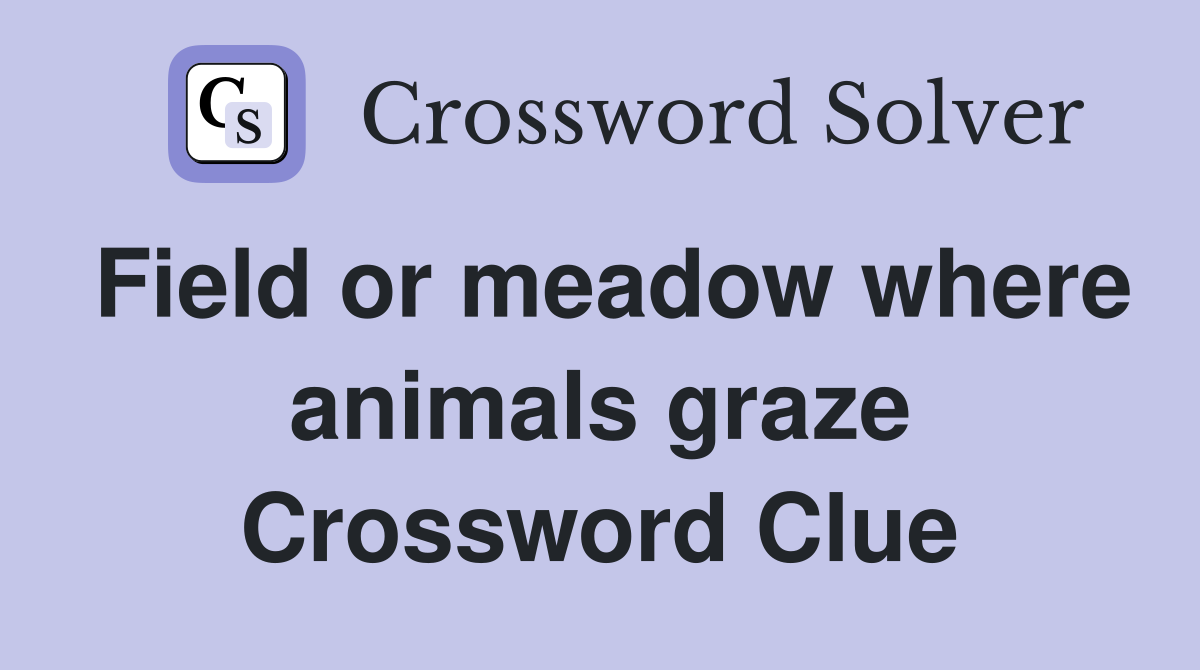 Field or meadow where animals graze Crossword Clue
