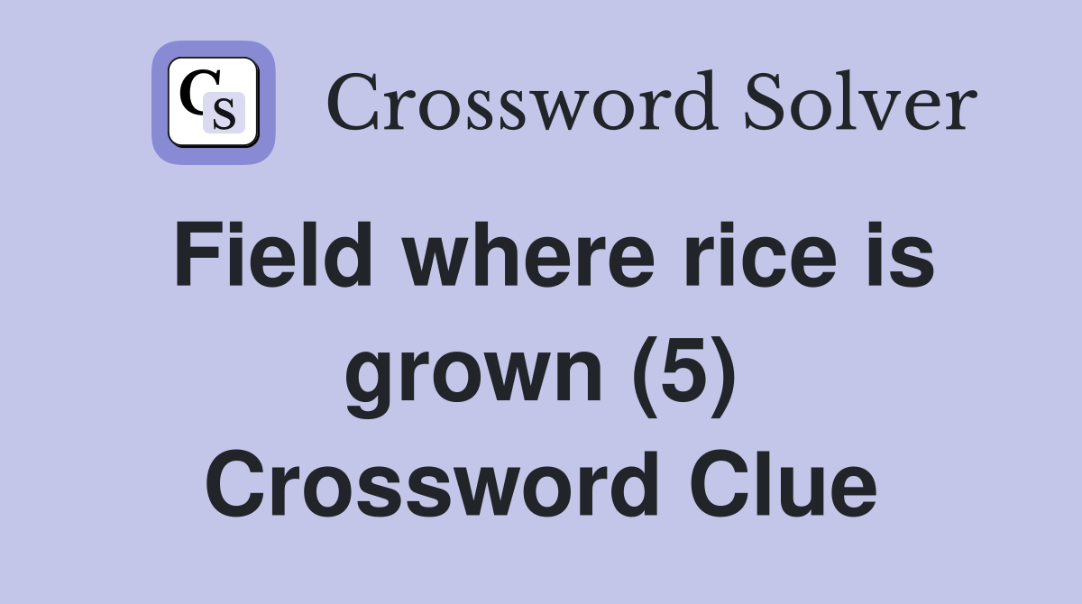 Field where rice is grown (5) Crossword Clue