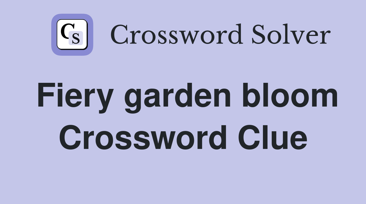 Fiery garden bloom Crossword Clue