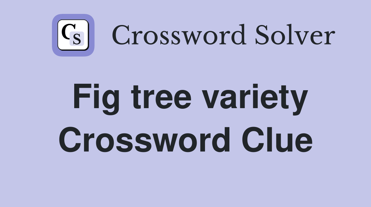 Fig tree variety Crossword Clue