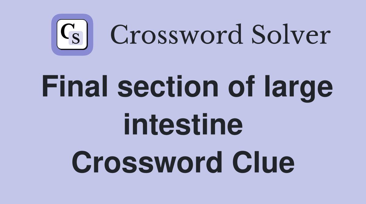 Final section of large intestine Crossword Clue