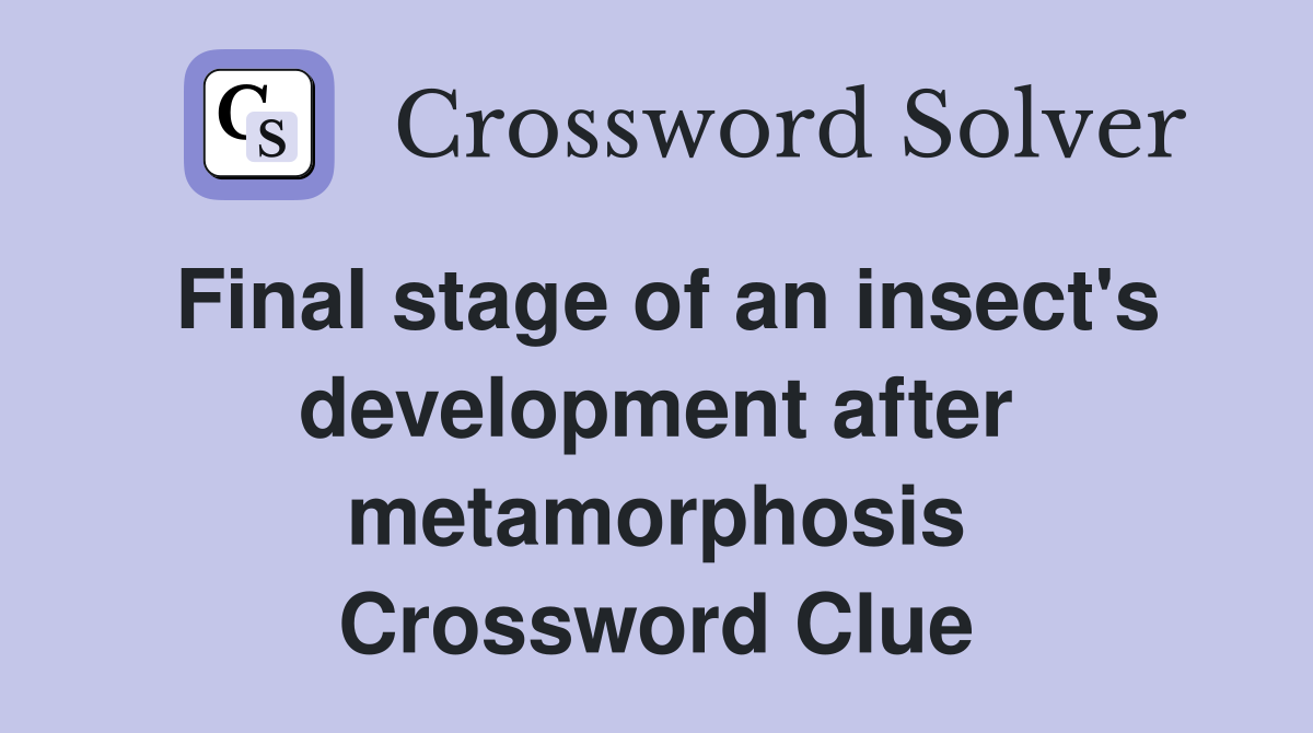 Final stage of an insect's development after metamorphosis Crossword Clue