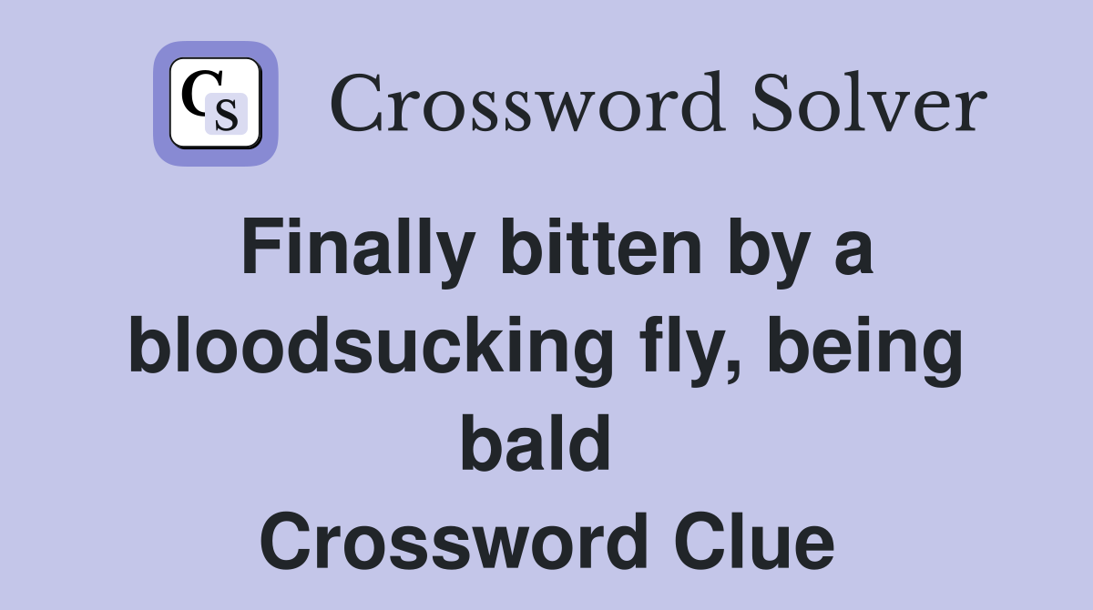 Finally bitten by a bloodsucking fly, being bald  Crossword Clue