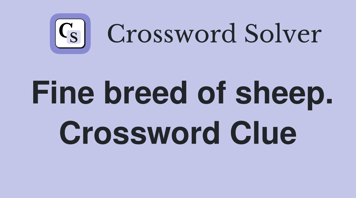 Fine breed of sheep. Crossword Clue