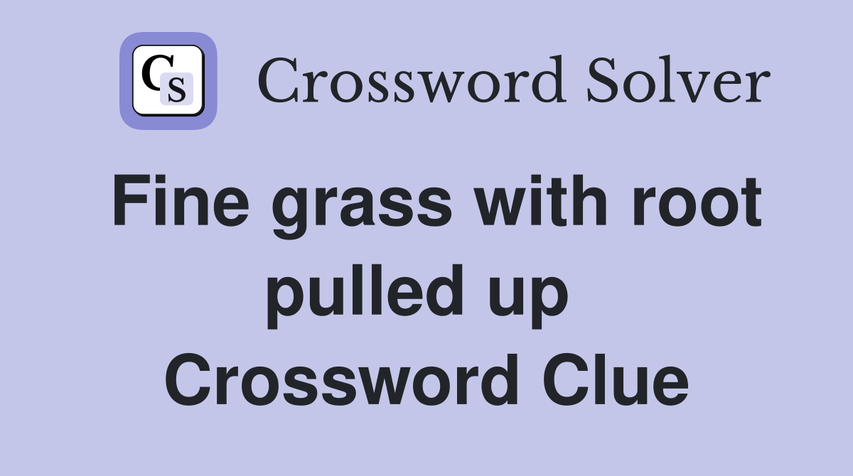 Fine grass with root pulled up  Crossword Clue