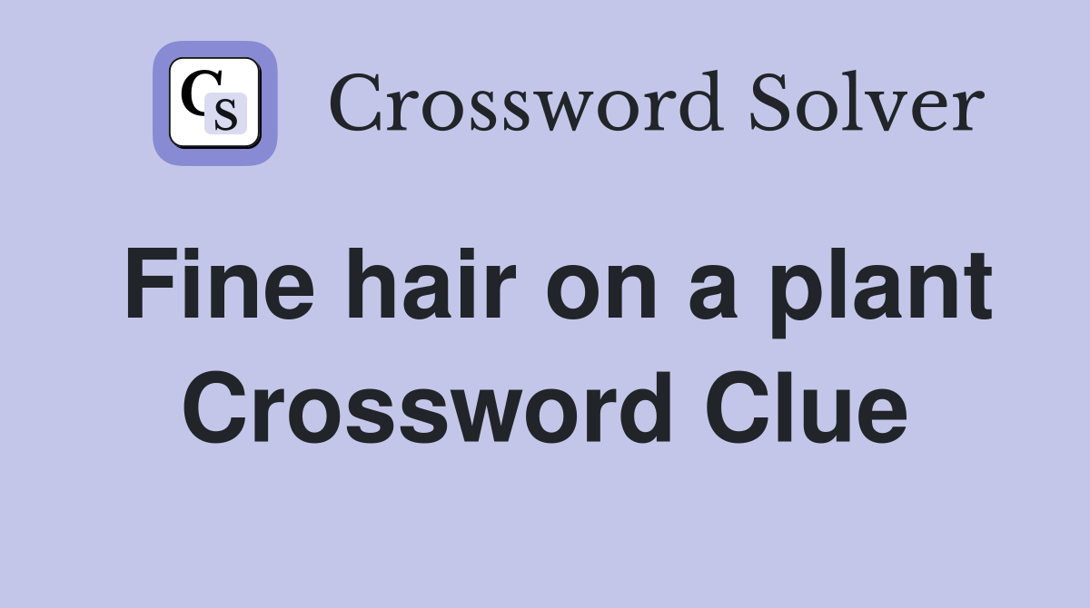 Fine hair on a plant Crossword Clue