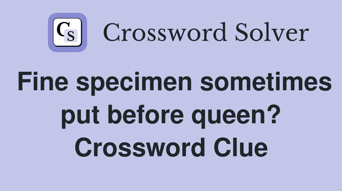 Fine specimen sometimes put before queen? Crossword Clue