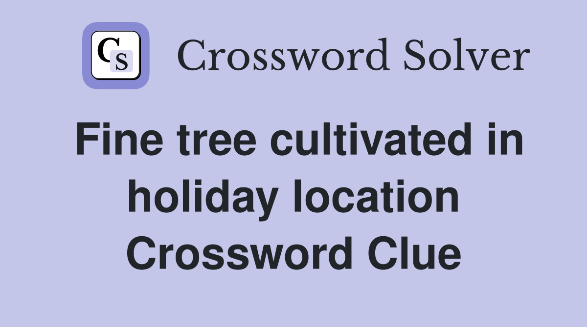 Fine tree cultivated in holiday location Crossword Clue