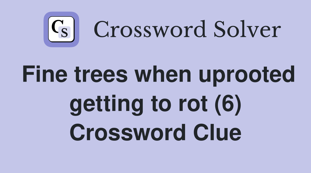 Fine trees when uprooted getting to rot (6) Crossword Clue