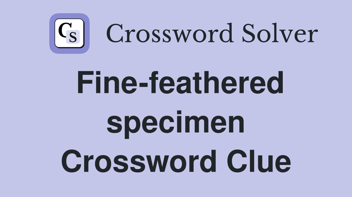 Fine-feathered specimen Crossword Clue