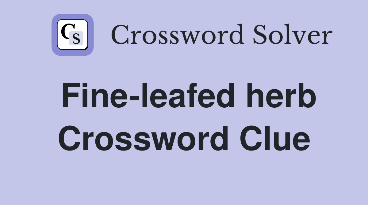Fine-leafed herb Crossword Clue