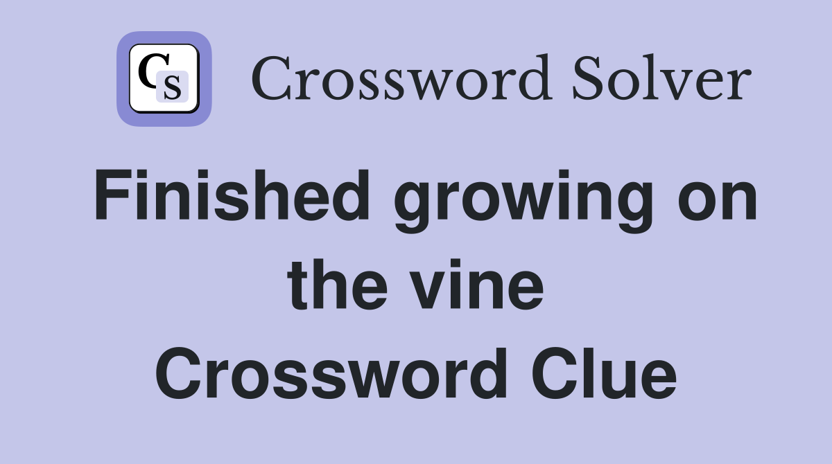 Finished growing on the vine Crossword Clue