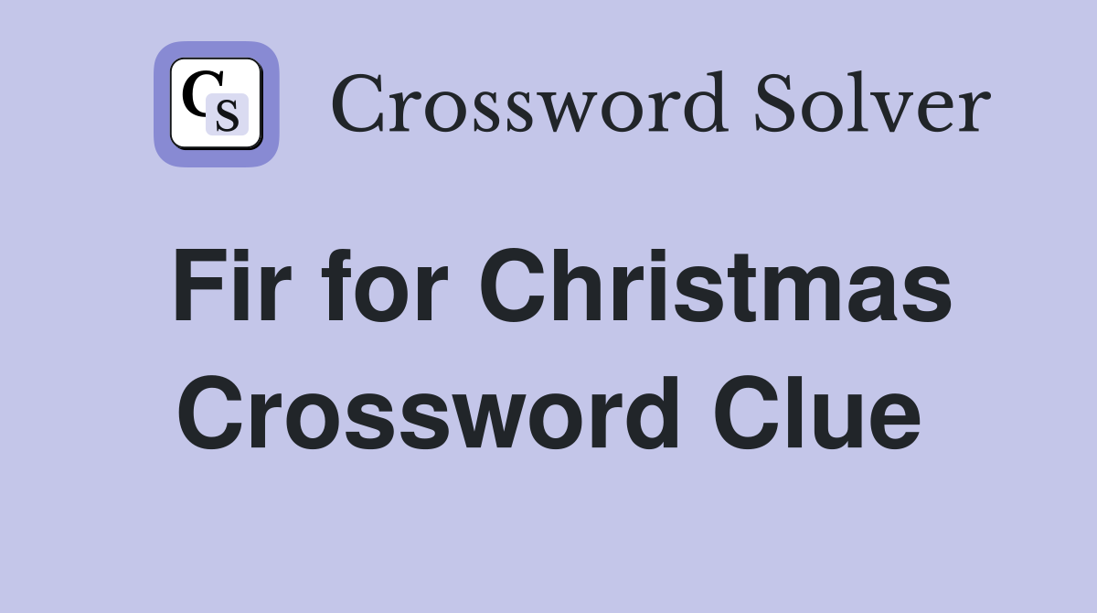 Fir for Christmas Crossword Clue